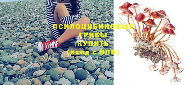 дмт Александровское