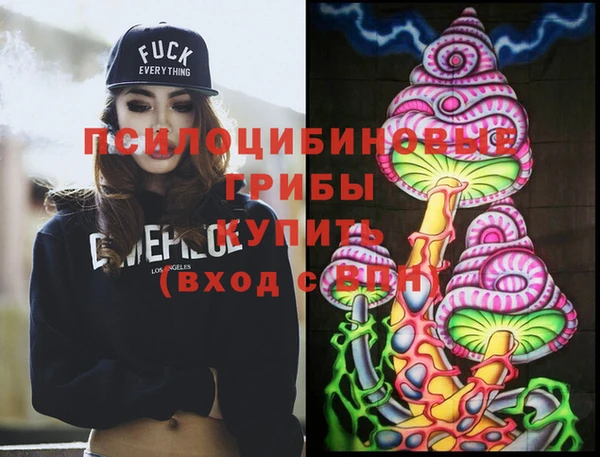 дмт Александровское
