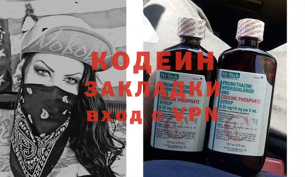 шишки Гусь-Хрустальный