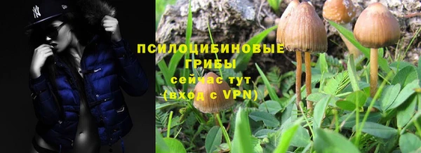мдма Гусиноозёрск
