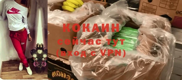 прущие грибы Калининец