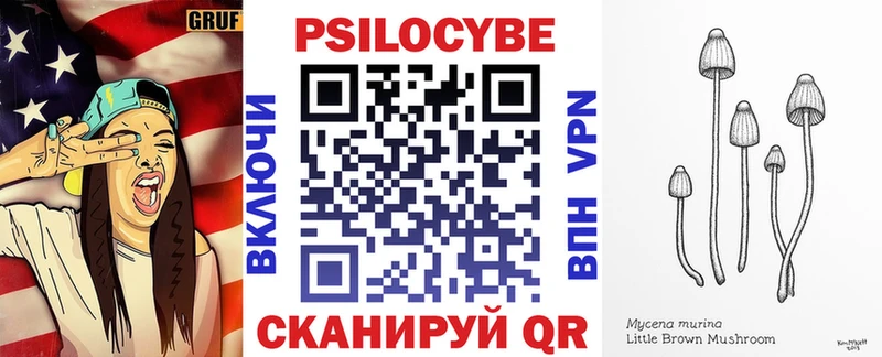 Псилоцибиновые грибы мицелий  Онега 